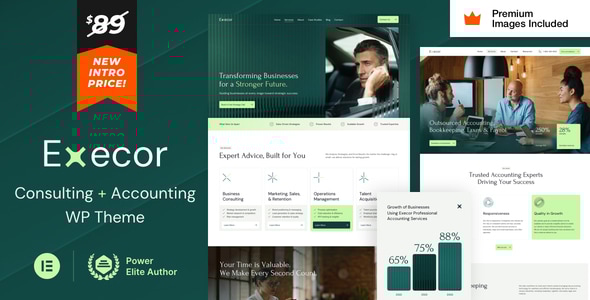 Execor Accounting Consulting WordPress Theme
